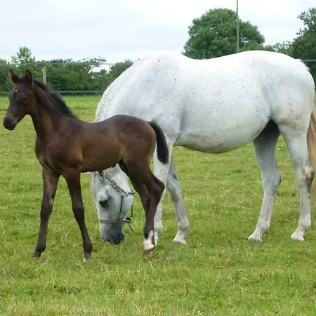 Çiftlik konaklama La Petite Maison Bricqueville