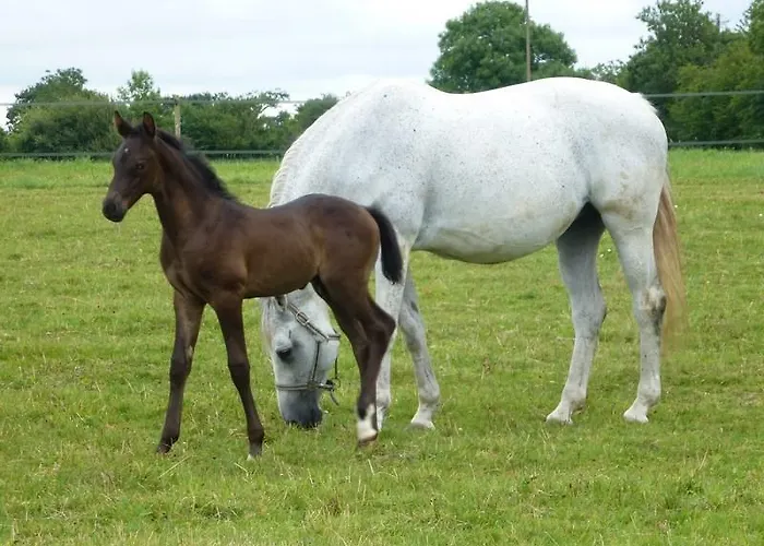 Alloggio per agriturismo La Petite Maison Bricqueville